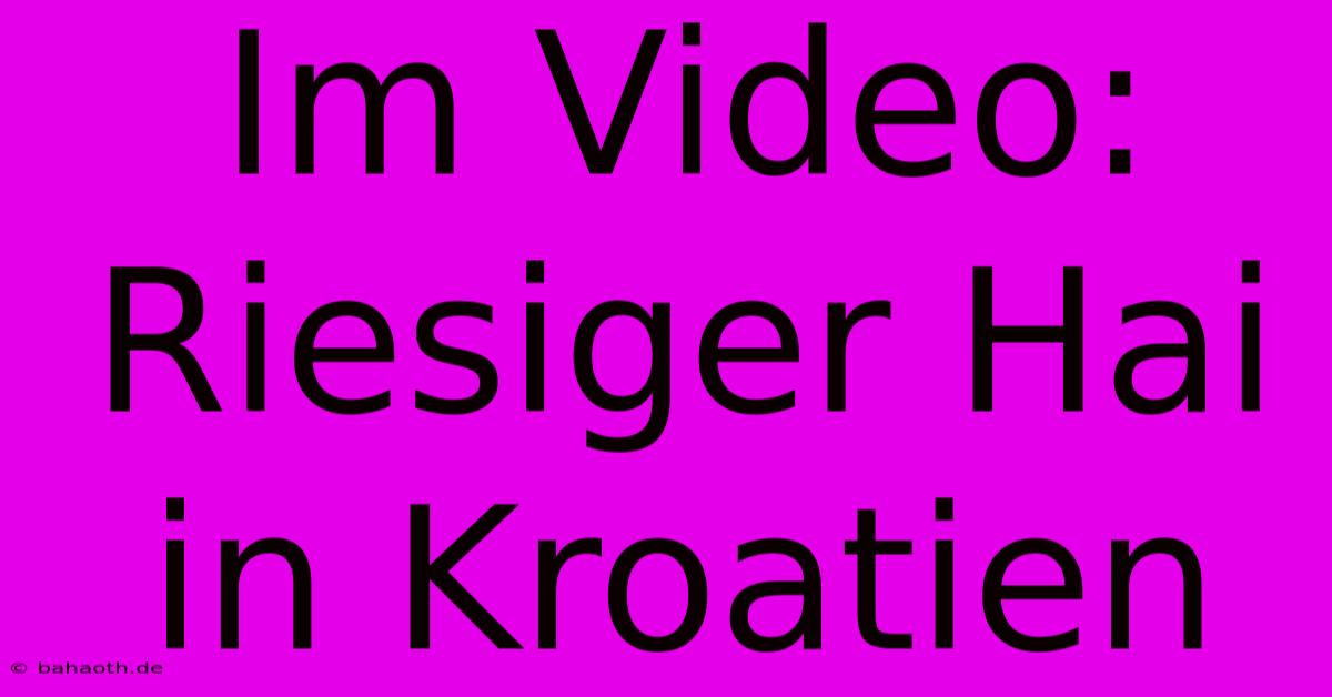 Im Video: Riesiger Hai In Kroatien