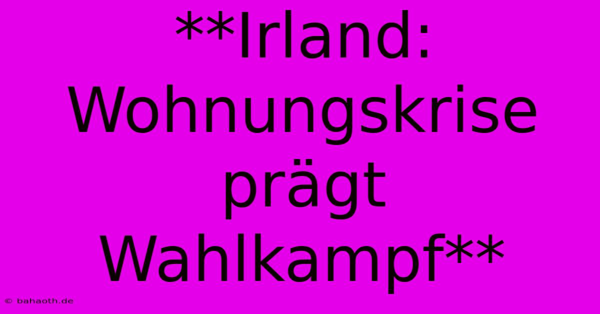 **Irland: Wohnungskrise Prägt Wahlkampf**