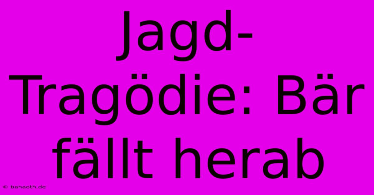 Jagd-Tragödie: Bär Fällt Herab