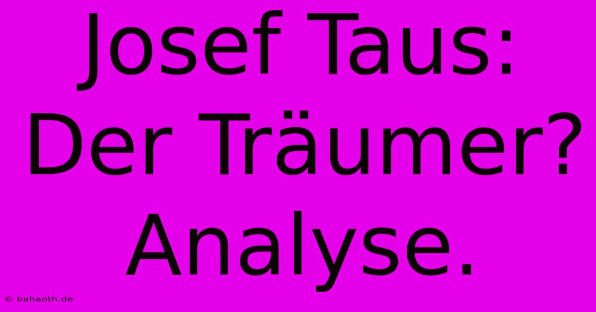 Josef Taus: Der Träumer? Analyse.