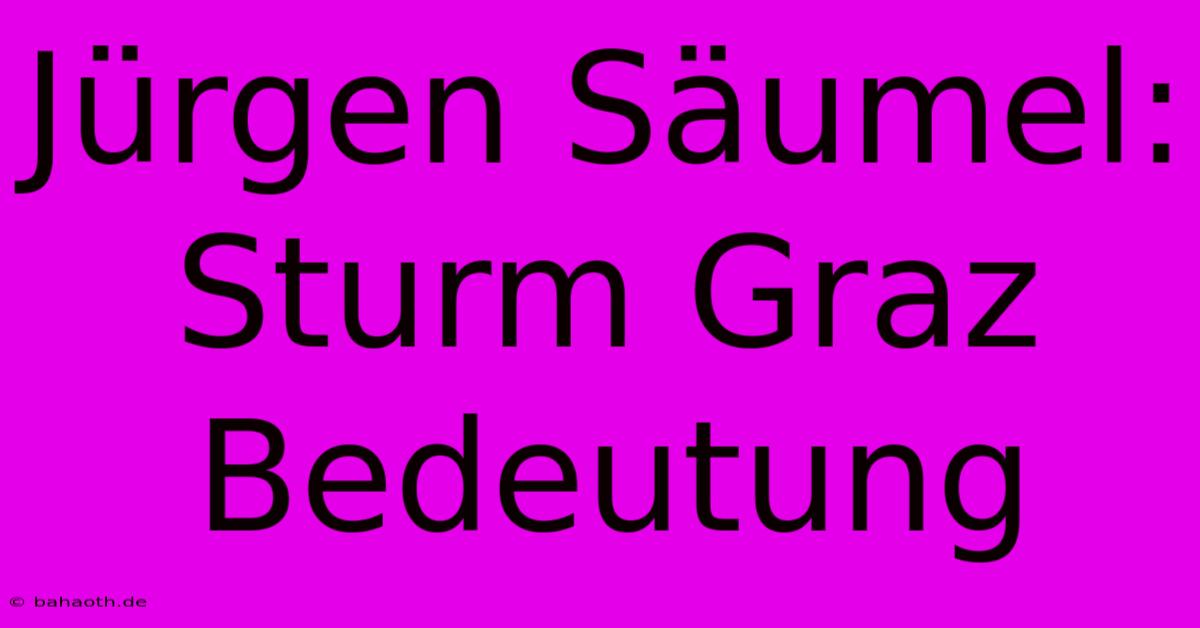 Jürgen Säumel: Sturm Graz Bedeutung