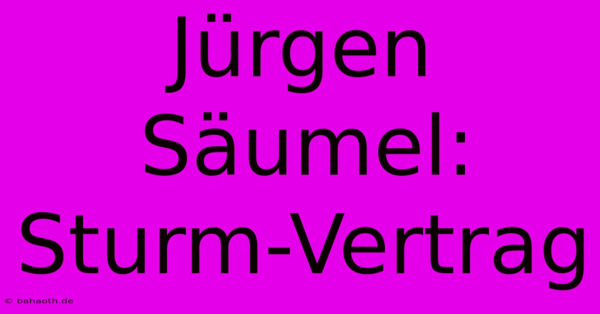 Jürgen Säumel: Sturm-Vertrag