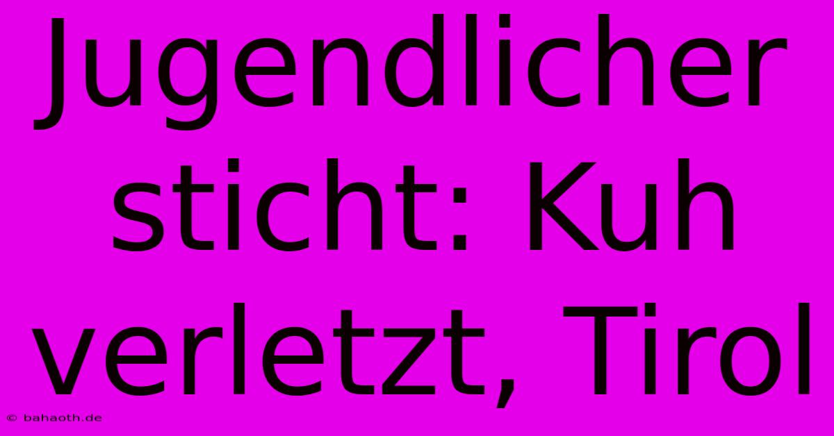 Jugendlicher Sticht: Kuh Verletzt, Tirol