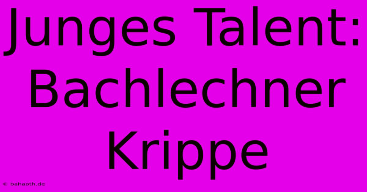 Junges Talent: Bachlechner Krippe