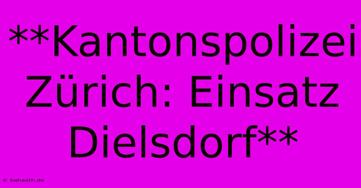 **Kantonspolizei Zürich: Einsatz Dielsdorf**