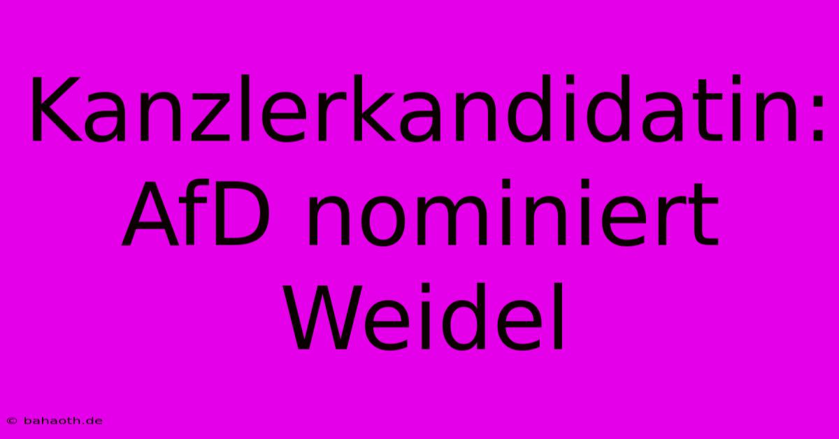 Kanzlerkandidatin: AfD Nominiert Weidel