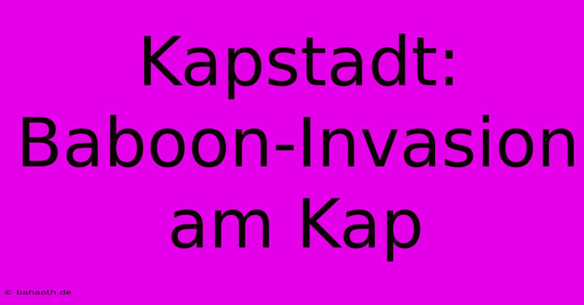 Kapstadt:  Baboon-Invasion Am Kap