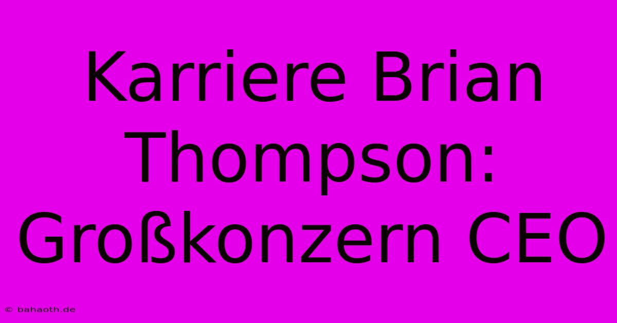 Karriere Brian Thompson: Großkonzern CEO