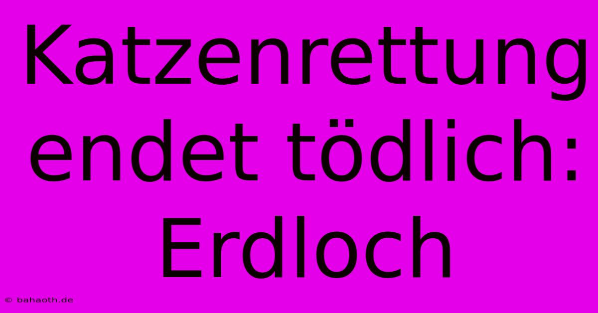 Katzenrettung Endet Tödlich: Erdloch