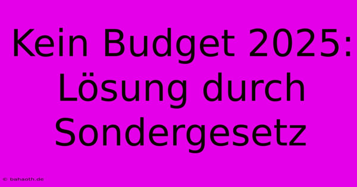 Kein Budget 2025:  Lösung Durch Sondergesetz