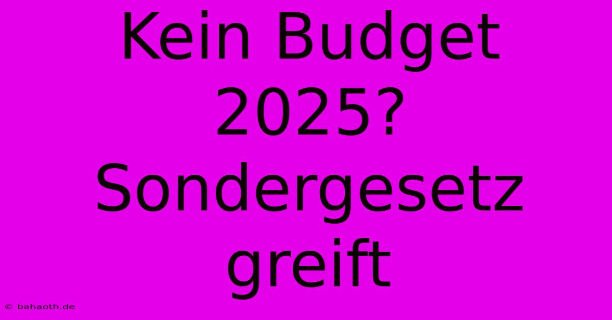 Kein Budget 2025? Sondergesetz Greift