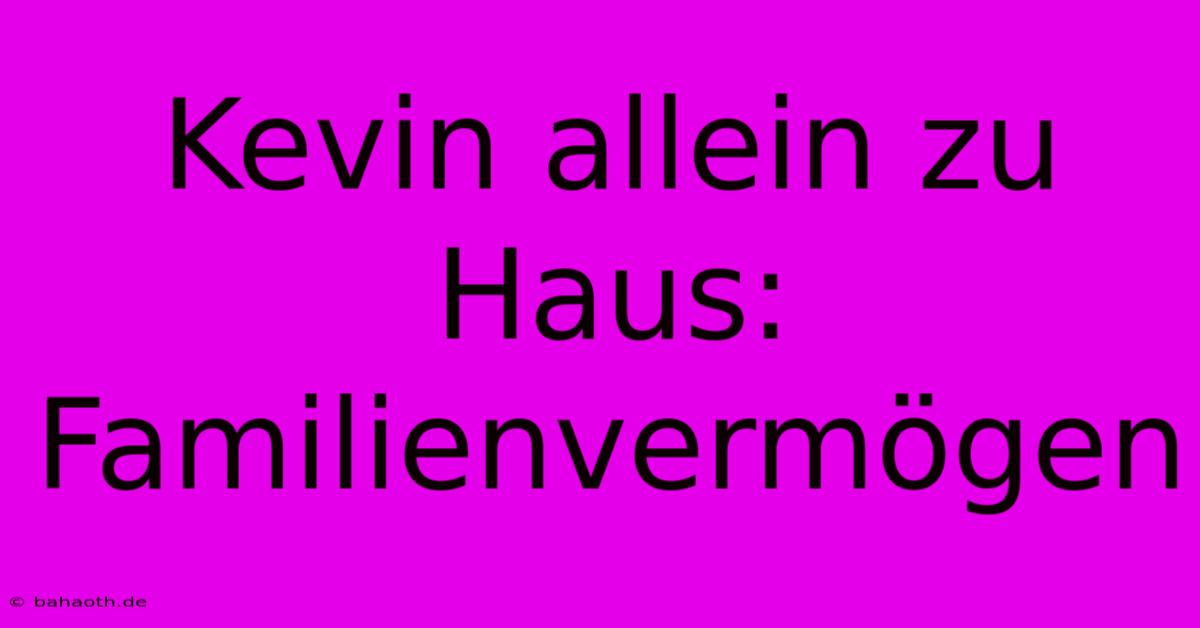 Kevin Allein Zu Haus: Familienvermögen