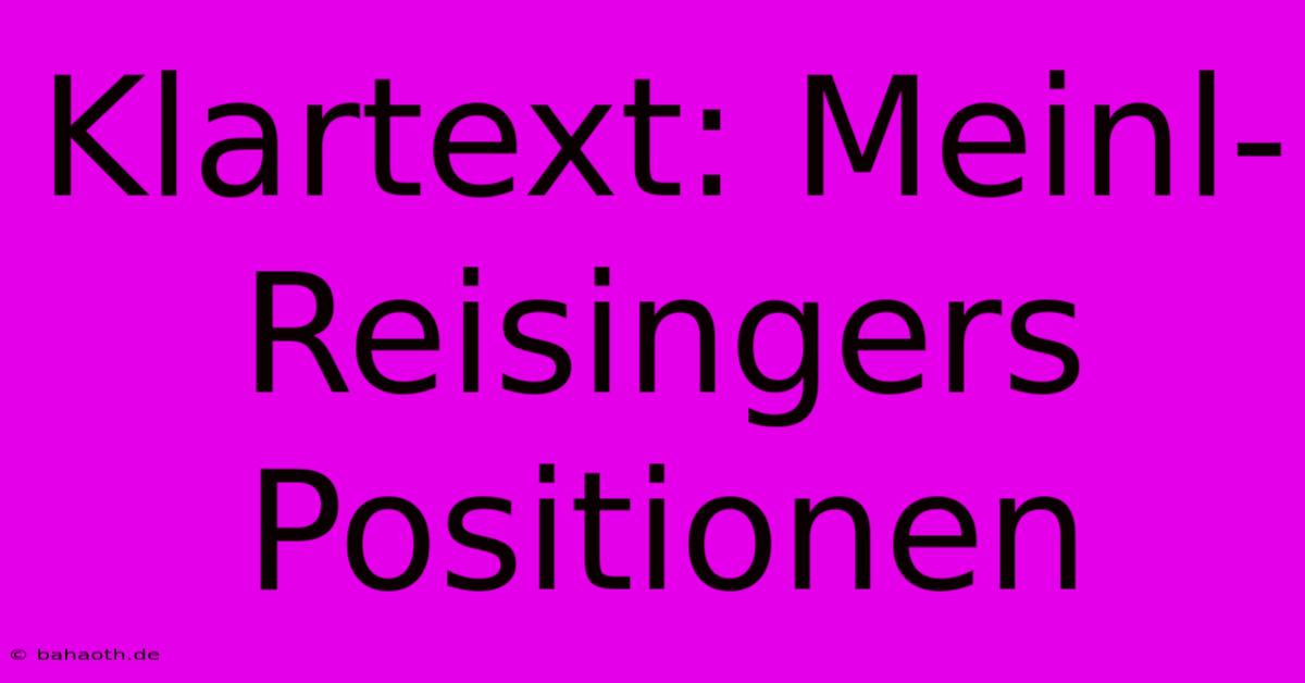 Klartext: Meinl-Reisingers Positionen