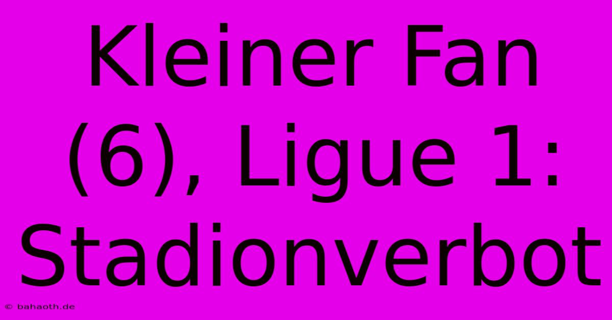 Kleiner Fan (6), Ligue 1: Stadionverbot