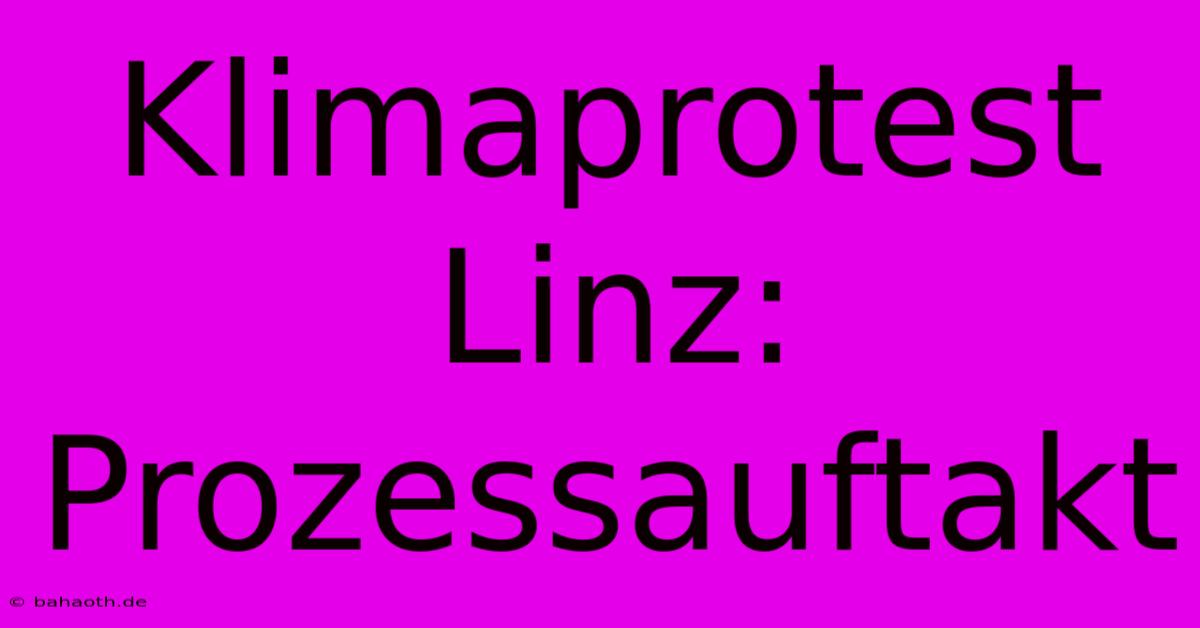 Klimaprotest Linz: Prozessauftakt