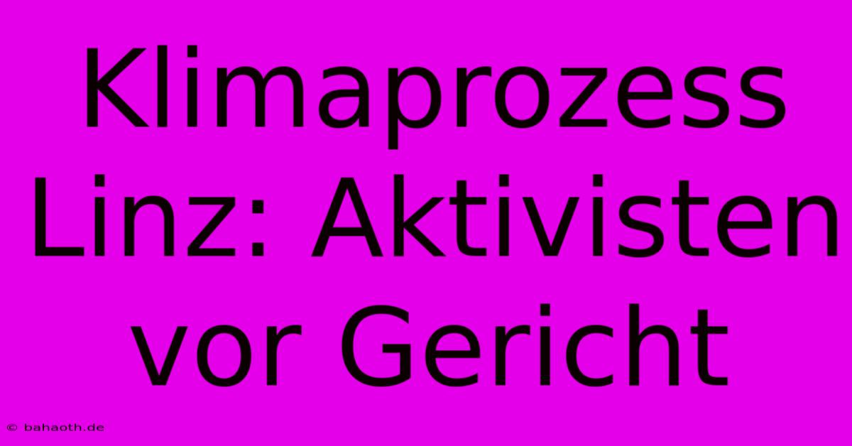 Klimaprozess Linz: Aktivisten Vor Gericht