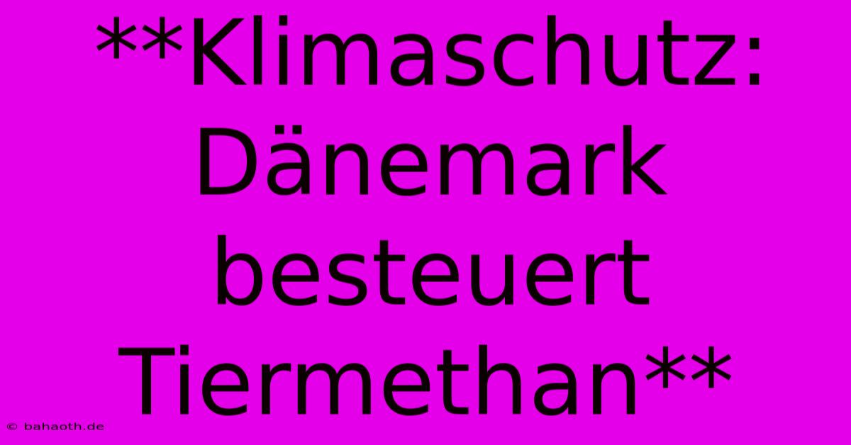 **Klimaschutz: Dänemark Besteuert Tiermethan**