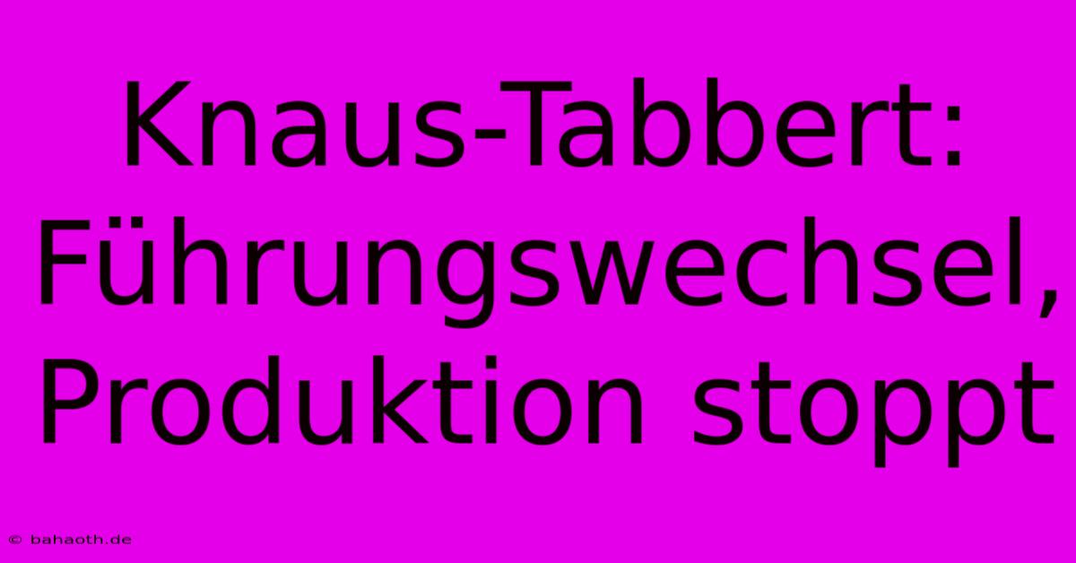 Knaus-Tabbert: Führungswechsel, Produktion Stoppt