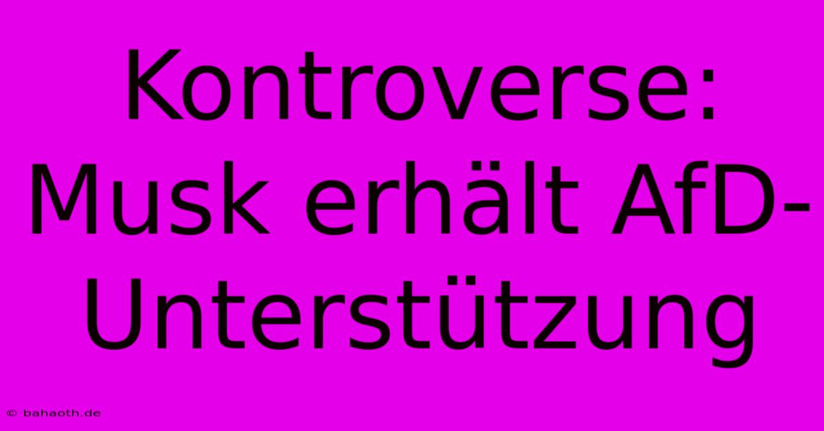 Kontroverse: Musk Erhält AfD-Unterstützung