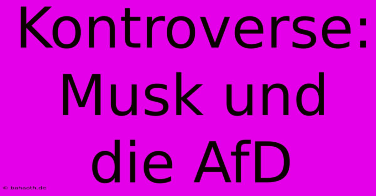 Kontroverse: Musk Und Die AfD  