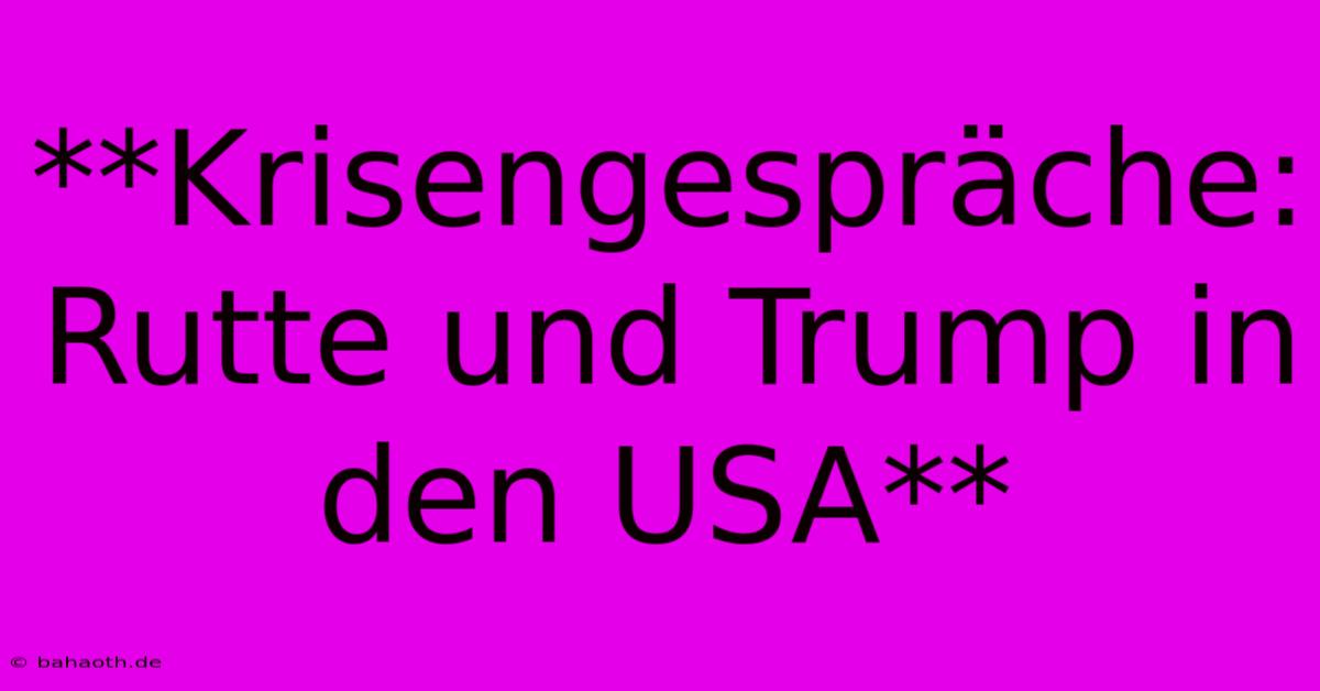 **Krisengespräche: Rutte Und Trump In Den USA**