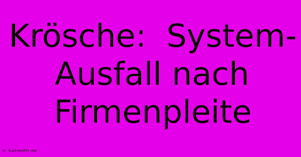 Krösche:  System-Ausfall Nach Firmenpleite