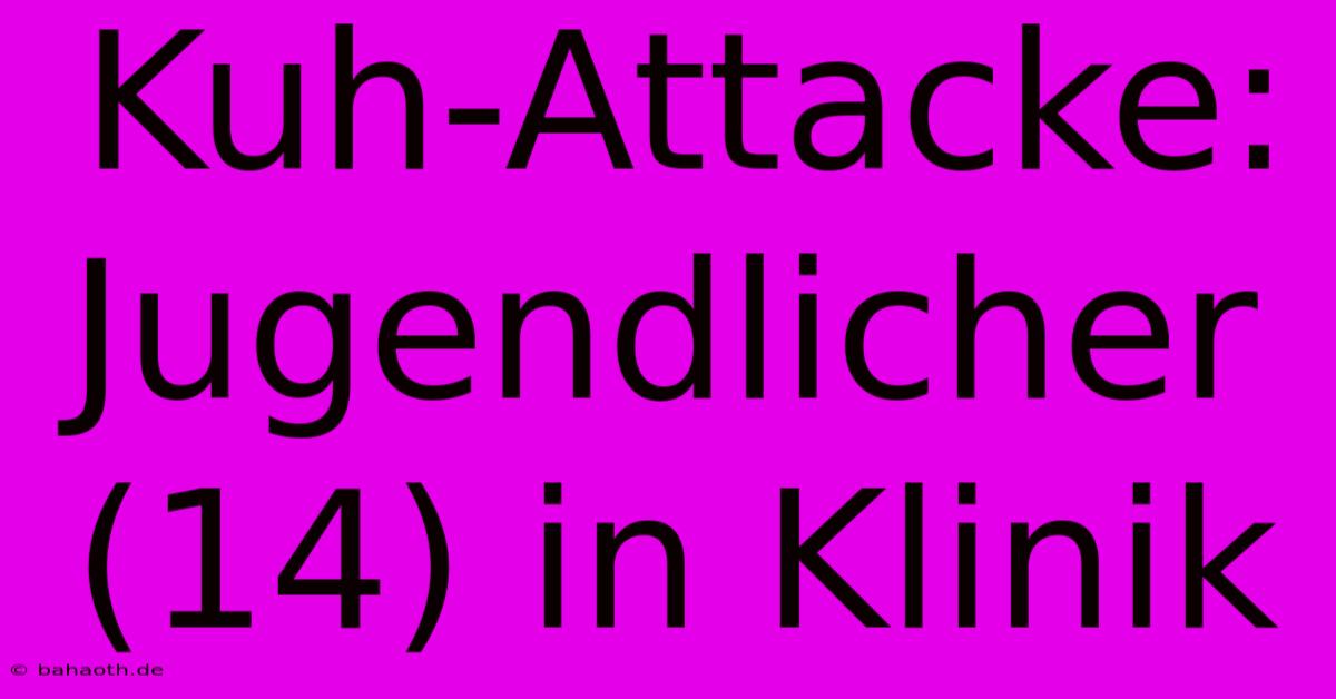 Kuh-Attacke: Jugendlicher (14) In Klinik