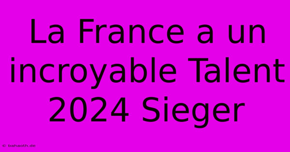 La France A Un Incroyable Talent 2024 Sieger