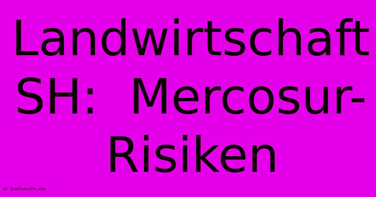 Landwirtschaft SH:  Mercosur-Risiken