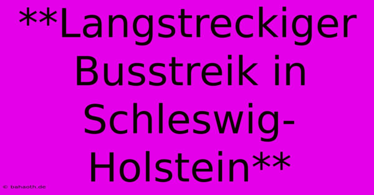 **Langstreckiger Busstreik In Schleswig-Holstein**