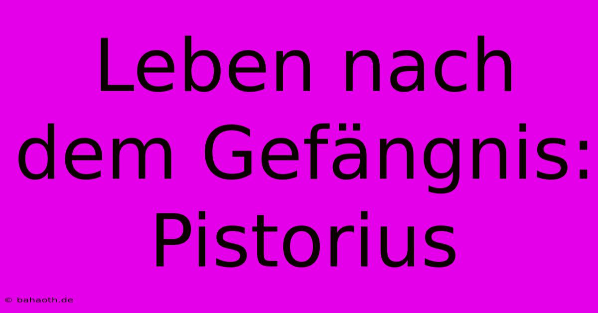 Leben Nach Dem Gefängnis: Pistorius