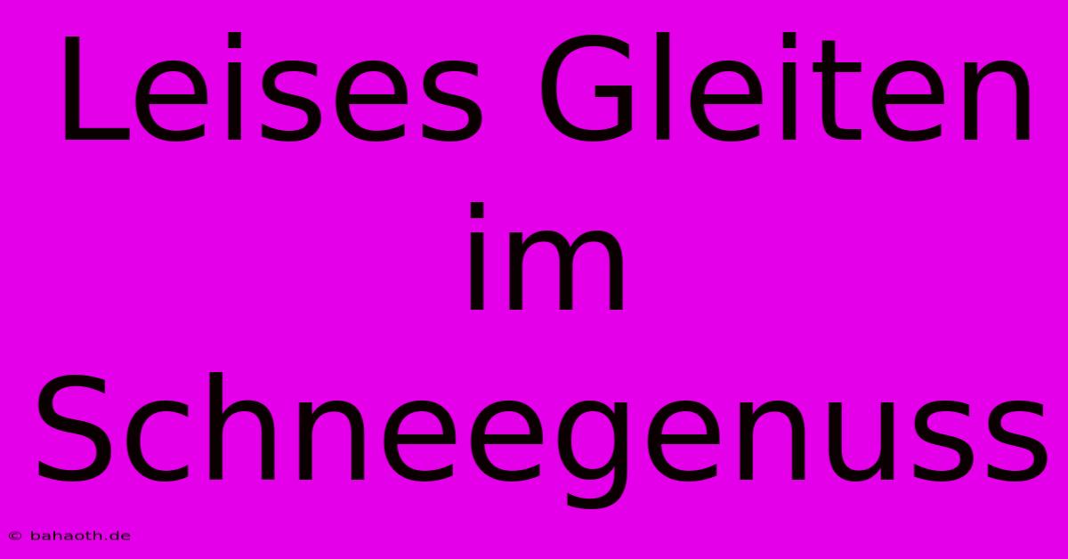 Leises Gleiten Im Schneegenuss