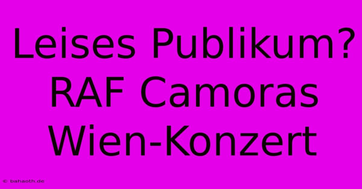 Leises Publikum? RAF Camoras Wien-Konzert