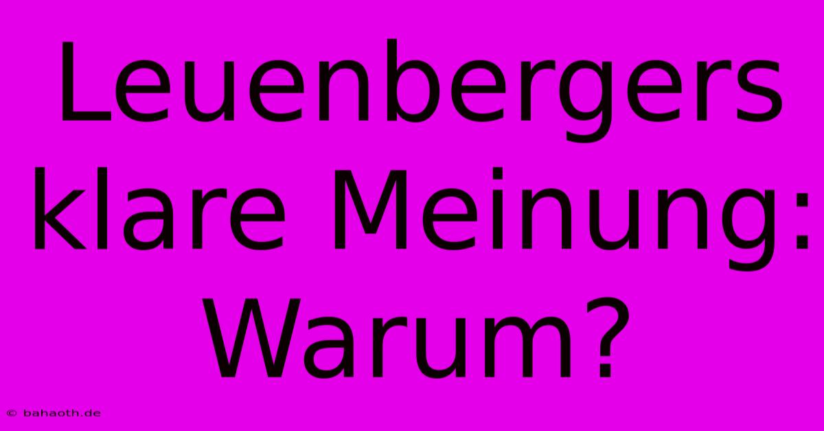 Leuenbergers Klare Meinung: Warum?