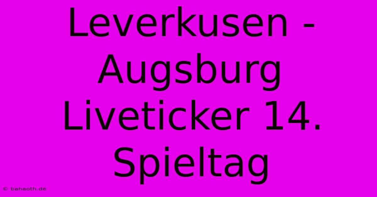 Leverkusen - Augsburg Liveticker 14. Spieltag