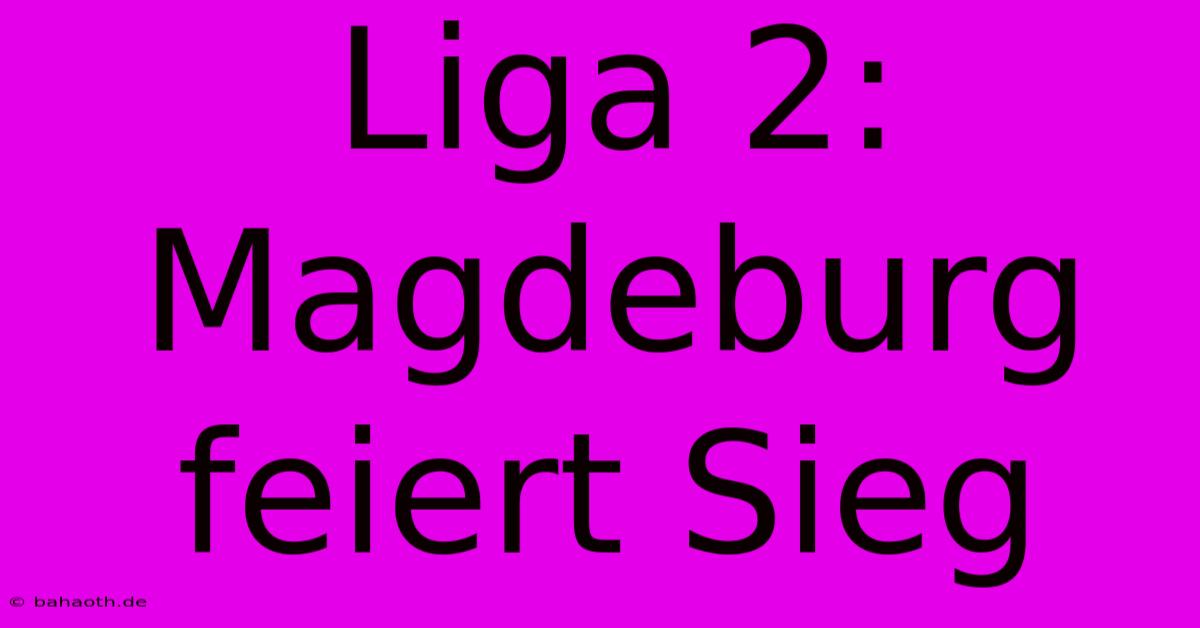 Liga 2: Magdeburg Feiert Sieg