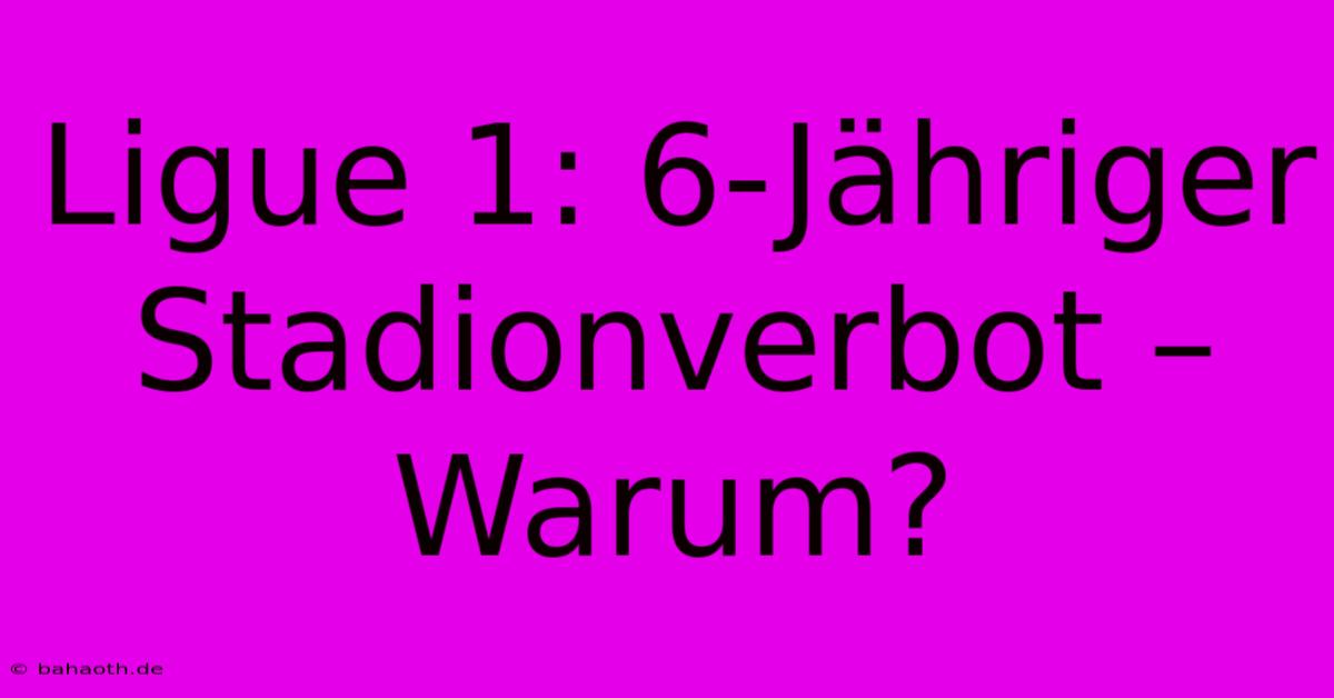 Ligue 1: 6-Jähriger Stadionverbot – Warum?