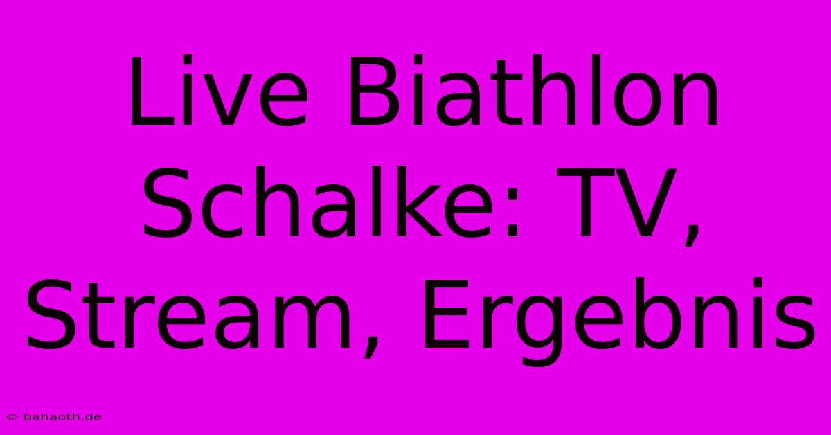 Live Biathlon Schalke: TV, Stream, Ergebnis