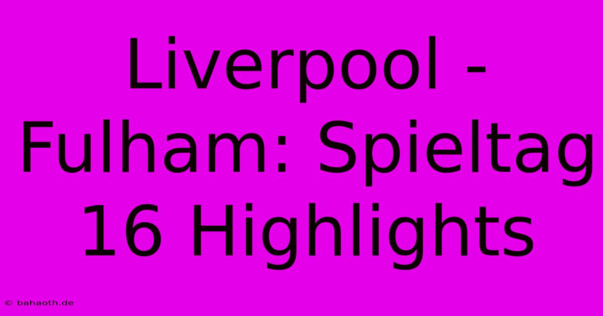 Liverpool - Fulham: Spieltag 16 Highlights