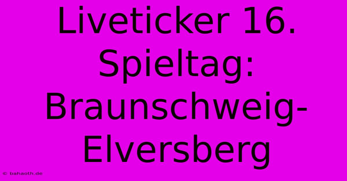 Liveticker 16. Spieltag: Braunschweig-Elversberg