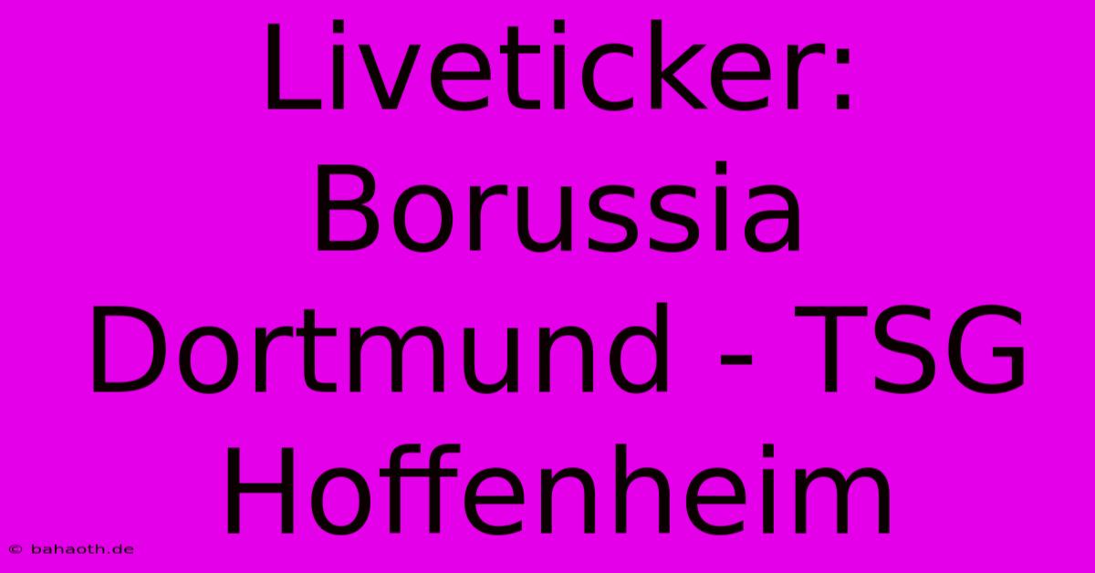 Liveticker: Borussia Dortmund - TSG Hoffenheim