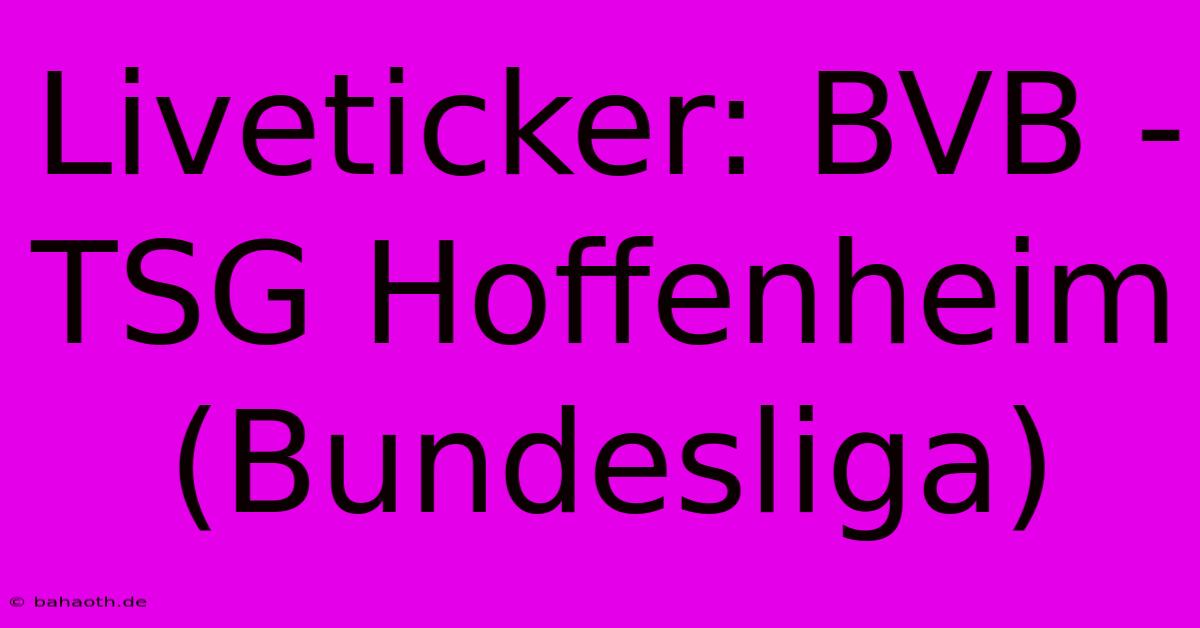 Liveticker: BVB - TSG Hoffenheim (Bundesliga)