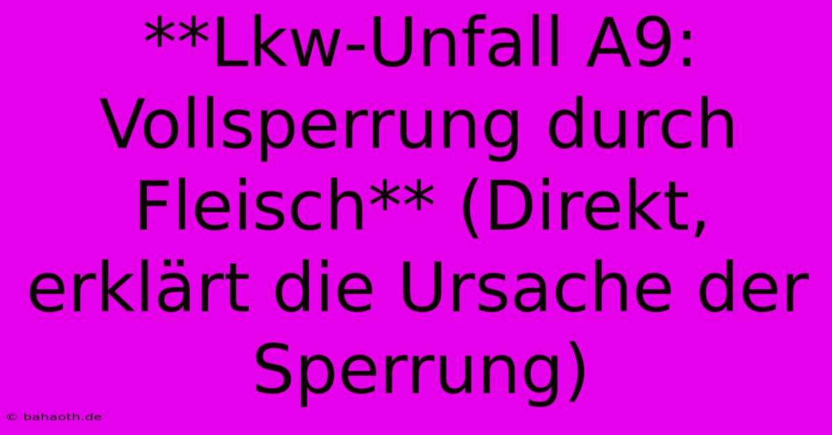 **Lkw-Unfall A9: Vollsperrung Durch Fleisch** (Direkt, Erklärt Die Ursache Der Sperrung)