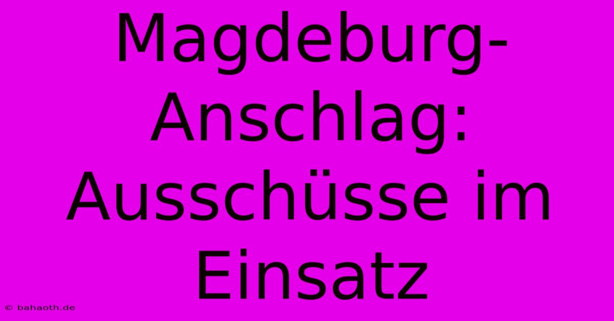 Magdeburg-Anschlag:  Ausschüsse Im Einsatz