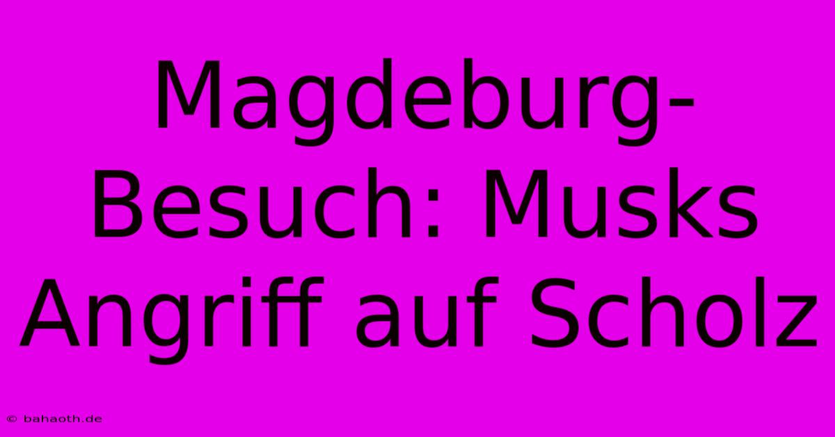 Magdeburg-Besuch: Musks Angriff Auf Scholz