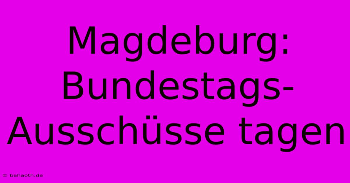 Magdeburg: Bundestags-Ausschüsse Tagen