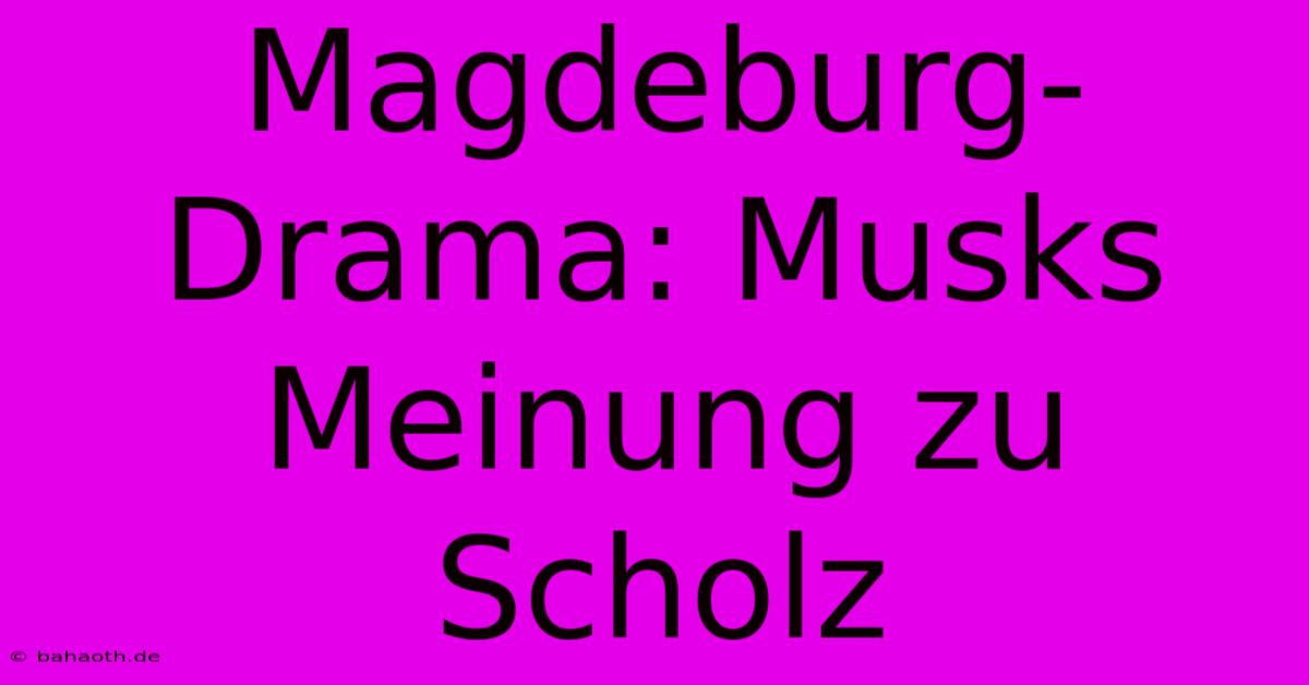 Magdeburg-Drama: Musks Meinung Zu Scholz