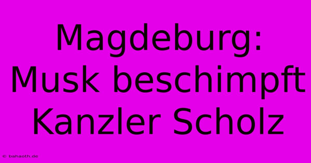 Magdeburg: Musk Beschimpft Kanzler Scholz