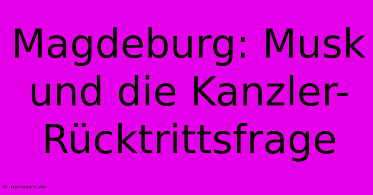 Magdeburg: Musk Und Die Kanzler-Rücktrittsfrage