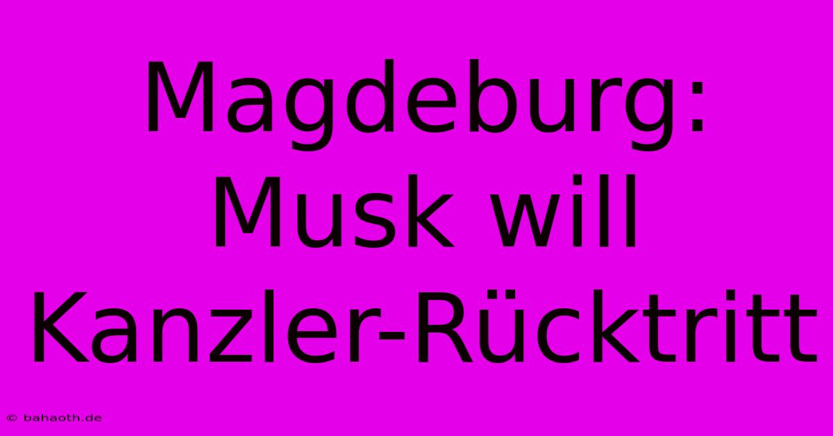 Magdeburg: Musk Will Kanzler-Rücktritt